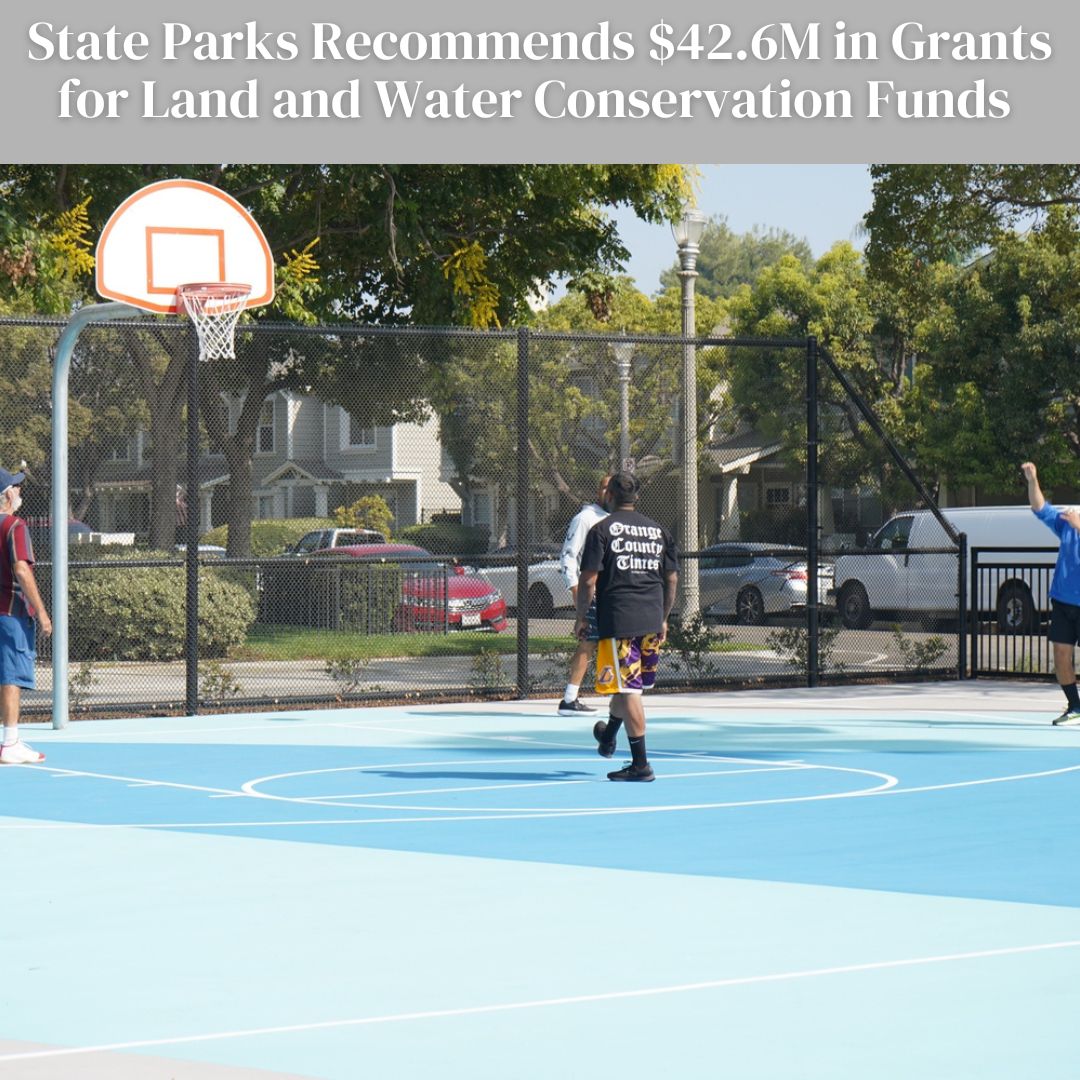 LWFC Grants Recommendations